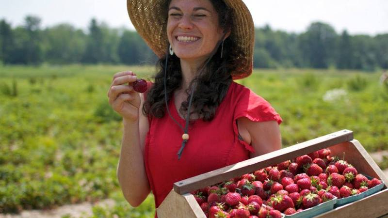 Strawberries at Silver Queen Farm? 